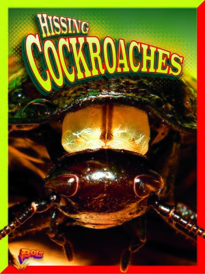 cover image of Hissing Cockroaches